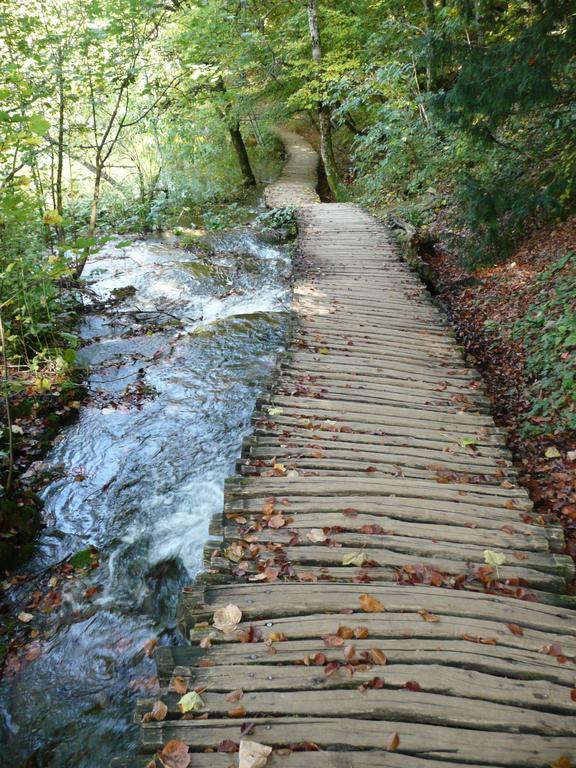 Отель Plitvice Pansion Lovric Плитвицкие озёра Экстерьер фото